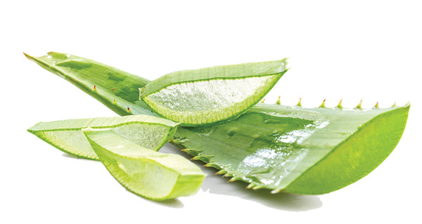 Hydro Crème Cleanser